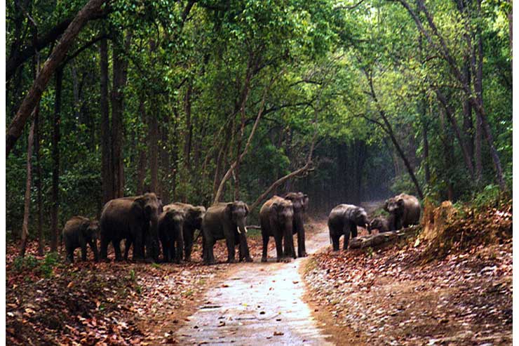 Nainital Mukteshwar with Corbett national park tour package from Varanasi